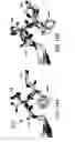 Fig. 41 - Aurora kinase inhibitors and methods of making and using thereof