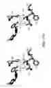 Fig. 50 - Aurora kinase inhibitors and methods of making and using thereof