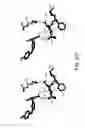 Fig. 52 - Aurora kinase inhibitors and methods of making and using thereof