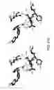 Fig. 53 - Aurora kinase inhibitors and methods of making and using thereof