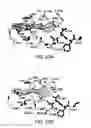 Fig. 69 - Aurora kinase inhibitors and methods of making and using thereof