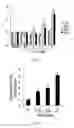 Fig. 02 - Small molecule TRAIL gene induction by normal and tumor cells as an anticancer therapy