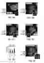 Fig. 13 - Methods and compositions for treating viral diseases