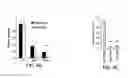 Fig. 22 - Methods and compositions for treating viral diseases
