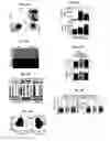 Fig. 03 - Methods and Compositions for Inhibiting Mitochondrial Trafficking