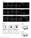 Fig. 08 - Methods and Compositions for Inhibiting Mitochondrial Trafficking
