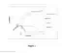 Fig. 02 - Phage therapy of infections