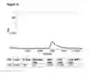 Fig. 02 - Polysaccharides from prasinococcales
