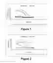 Fig. 02 - Prognostic and Diagnostic Methods and Herbal Therapies for Treating Skin Conditions, Autoimmune Diseases, Inflammatory Ailments and Cancer