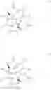 Fig. 06 - Romidepsin formulations and uses thereof