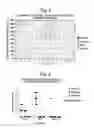 Fig. 04 - SUPERANTIGEN POST-EXPOSURE THERAPY