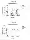 Fig. 08 - SUPERANTIGEN POST-EXPOSURE THERAPY