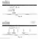Fig. 04 - LONG ACTING LUTEINIZING HORMONE (LH) COMPOUND