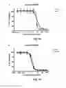 Fig. 08 - MONOMETHYLVALINE COMPOUNDS CAPABLE OF CONJUGATION TO LIGANDS
