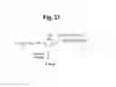 Fig. 25 - MONOMETHYLVALINE COMPOUNDS CAPABLE OF CONJUGATION TO LIGANDS