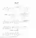Fig. 29 - MONOMETHYLVALINE COMPOUNDS CAPABLE OF CONJUGATION TO LIGANDS