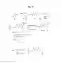 Fig. 34 - MONOMETHYLVALINE COMPOUNDS CAPABLE OF CONJUGATION TO LIGANDS
