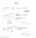 Fig. 37 - MONOMETHYLVALINE COMPOUNDS CAPABLE OF CONJUGATION TO LIGANDS