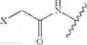 Fig. 47 - MONOMETHYLVALINE COMPOUNDS CAPABLE OF CONJUGATION TO LIGANDS