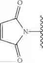 Fig. 48 - MONOMETHYLVALINE COMPOUNDS CAPABLE OF CONJUGATION TO LIGANDS