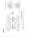 Fig. 02 - EGFR-TARGETED NANOPARTICLES