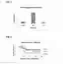 Fig. 06 - EGFR-TARGETED NANOPARTICLES