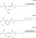 Fig. 43 - EGFR-TARGETED NANOPARTICLES