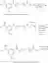 Fig. 46 - EGFR-TARGETED NANOPARTICLES