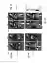 Fig. 13 - PHARMACOLOGICALLY INDUCED TRANSGENE ABLATION SYSTEM