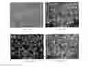 Fig. 06 - A MICELLAR PARTICLE