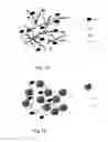 Fig. 02 - Self-Assembling Biomimetic Hydrogels Having Bioadhesive Properties
