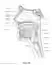 Fig. 06 - Humidifier for a respiratory therapy device