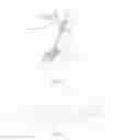 Fig. 02 - COATED MEDICAL APPARATUS AND METHODS