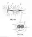 Fig. 08 - Strip lined catheters and methods for constructing and processing strip lined catheters