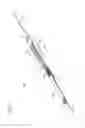 Fig. 14 - Catheter assembly