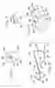 Fig. 04 - Needle assembly and components thereof