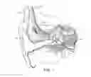 Fig. 02 - SNR adjusted envelope sampling for hearing implants