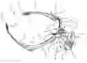 Fig. 01 - Head mounted training aid