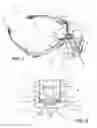 Fig. 02 - Head mounted training aid