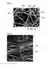 Fig. 02 - Porous body, polymer electrolyte membrane, filter material for filter, and filter unit
