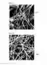 Fig. 07 - Porous body, polymer electrolyte membrane, filter material for filter, and filter unit