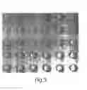 Fig. 07 - Screening assays and methods