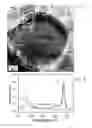 Fig. 03 - Zinc-based nanohybrids, devices and methods thereof