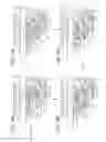 Fig. 07 - Hydraulic hammering device