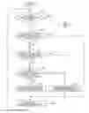 Fig. 01 - Display control device, projection device, and non-transitory storage medium for vehicle speed limit notifications