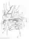 Fig. 06 - Tie down strap system for vehicles