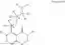 Fig. 02 - Somatostatin modulators and uses thereof