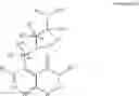 Fig. 205 - Somatostatin modulators and uses thereof