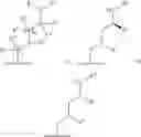 Fig. 212 - Somatostatin modulators and uses thereof