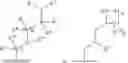 Fig. 35 - Somatostatin modulators and uses thereof